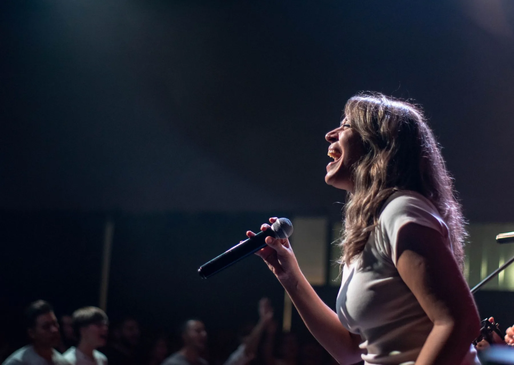 Singer on stage before an audience Singer on stage before an audience