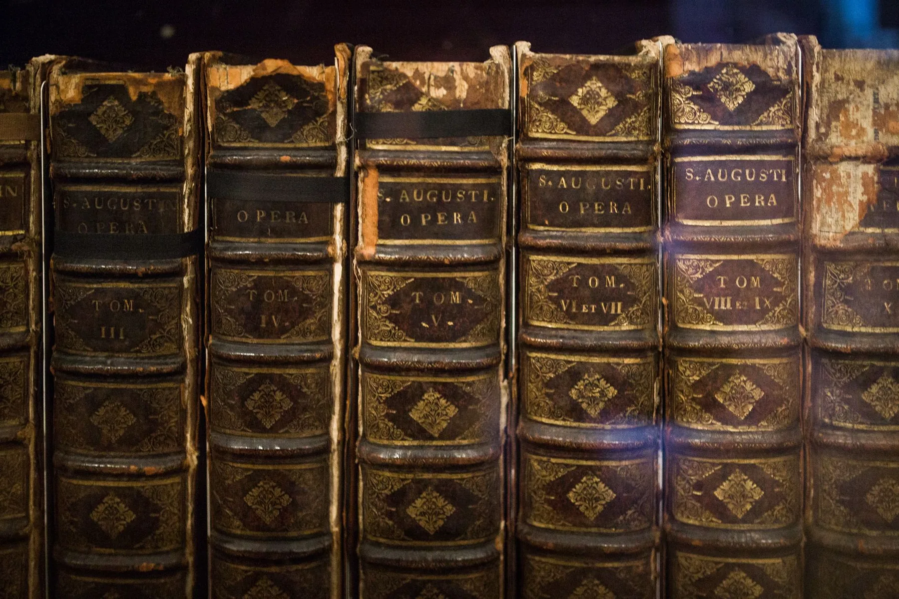 Livres anciens aux reliures de cuir dorées